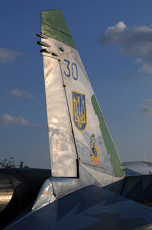 pic 2a.jpg -  badge of the N21 - Zaporizkiy DARZ